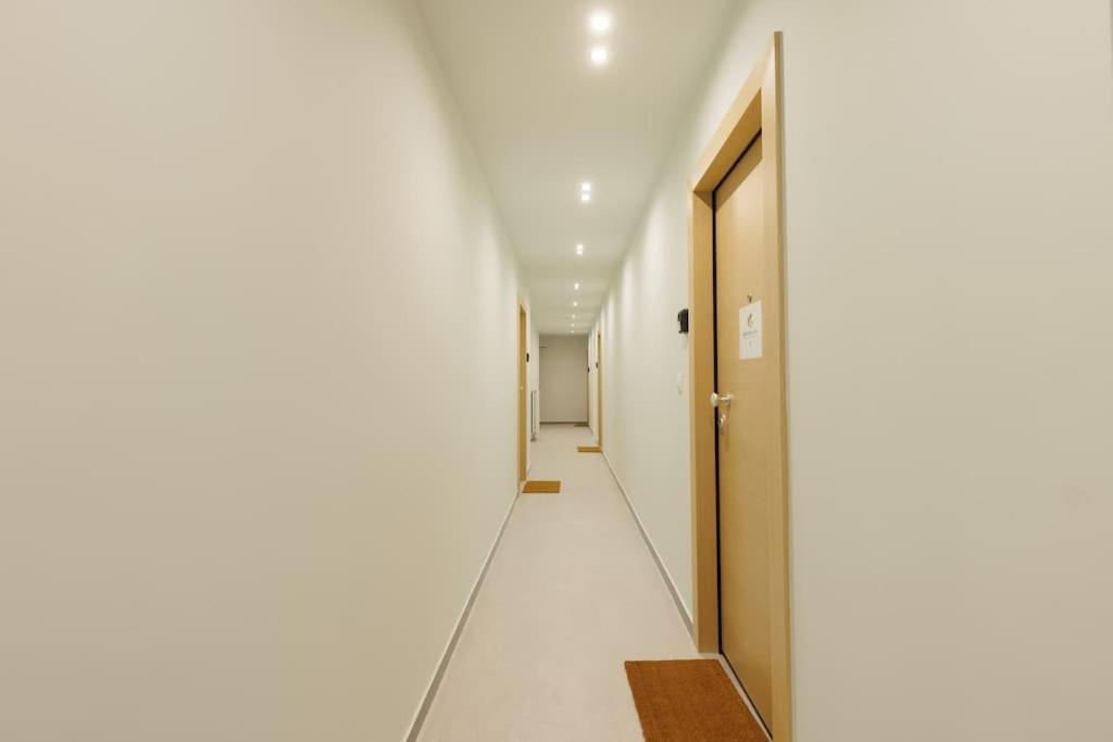 Apartment Snug With Shared Garden Iv